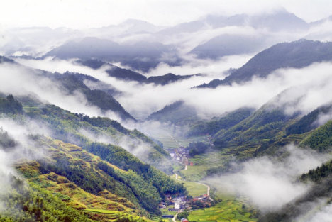 初级马拉松跑鞋：为你的马拉松之旅提供最佳支持